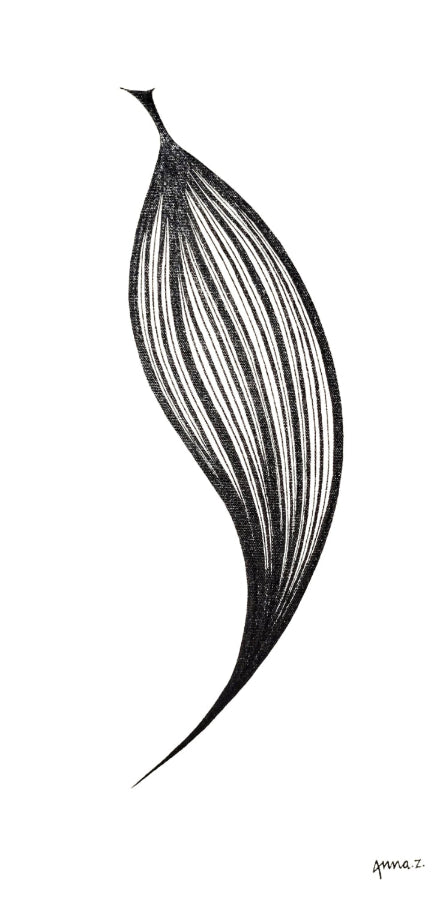 Long veins converge at the pointed end of a leaf. Clean lines in black acrylic on white canvas.