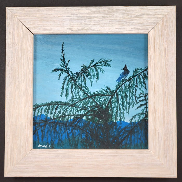 Original painting by Annazach Art. Miniature painting of a Steller’s Jay in the fading twilight, perched on a Western Hemlock tree with its top lopped off.